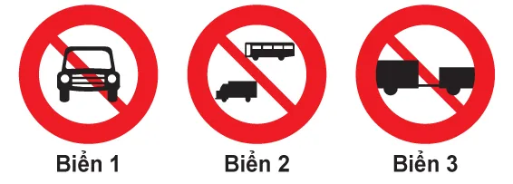 Hình câu 301