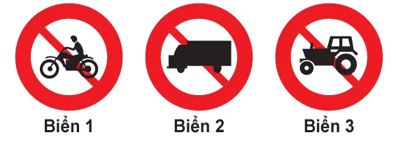 Hình câu 303