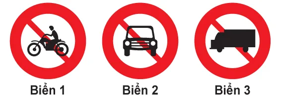 Hình câu 304