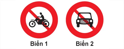 Hình câu 305