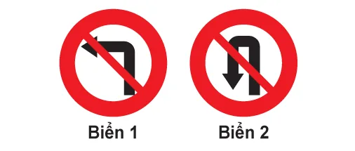 Hình câu 313