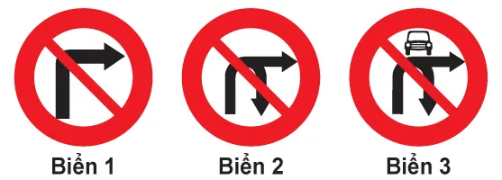 Hình câu 317