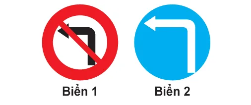 Hình câu 324