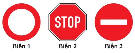 Hình câu 329