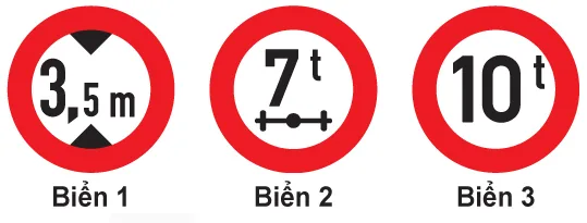 Hình câu 336