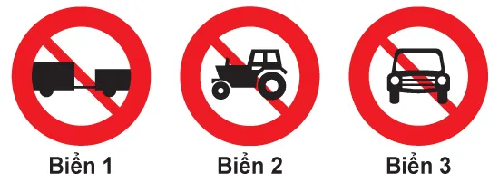 Hình câu 342