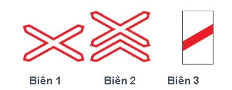 Hình câu 378