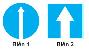 Hình câu 433