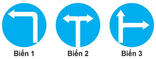 Hình câu 441