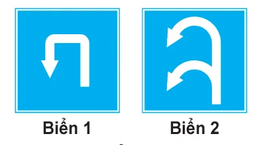Hình câu 443