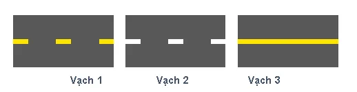 Hình câu 479